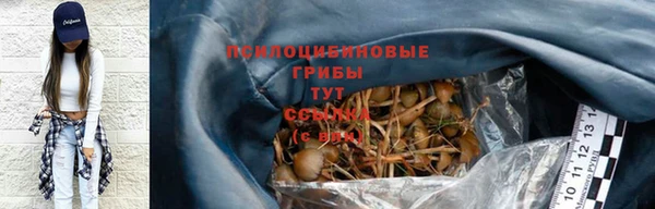 гашик Балабаново