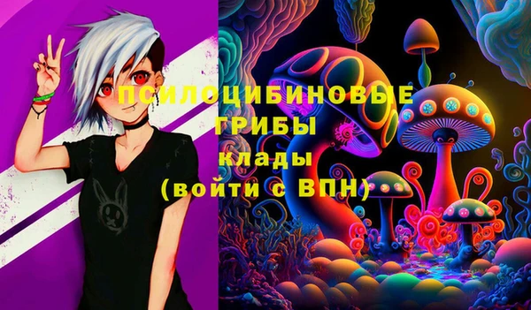 гашик Балабаново